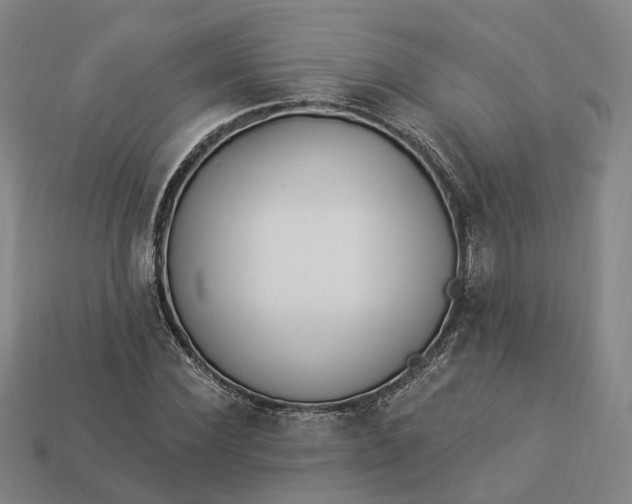 X0000112940924200909071051