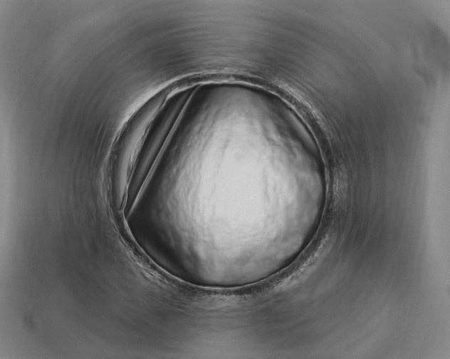 X0000112940925200909071051