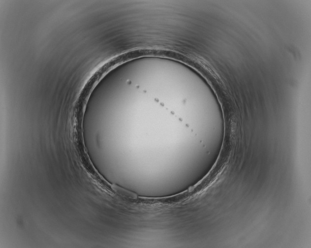 X0000112940926200909071051