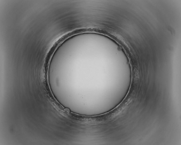 X0000112940927200909071051