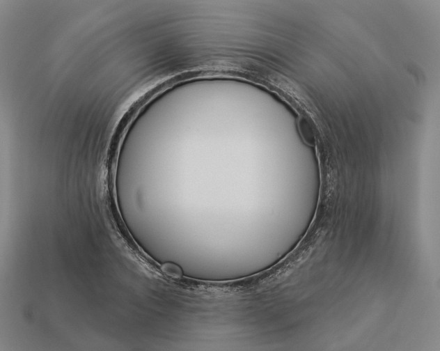 X0000112940928200909071051