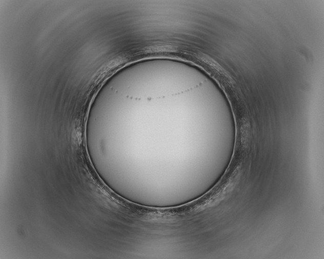 X0000112940929200909071051