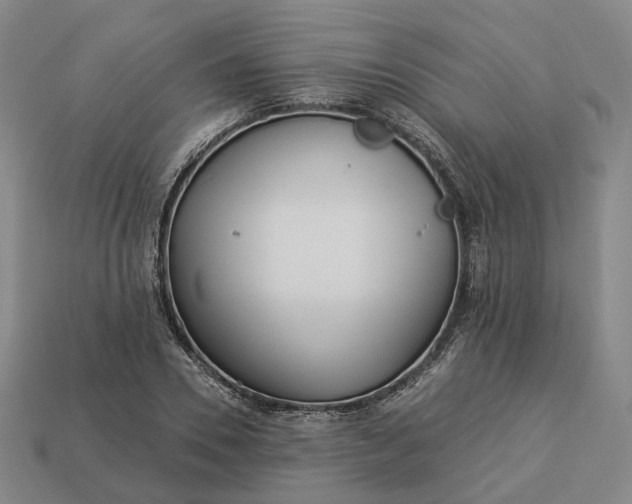 X0000112940930200909071051