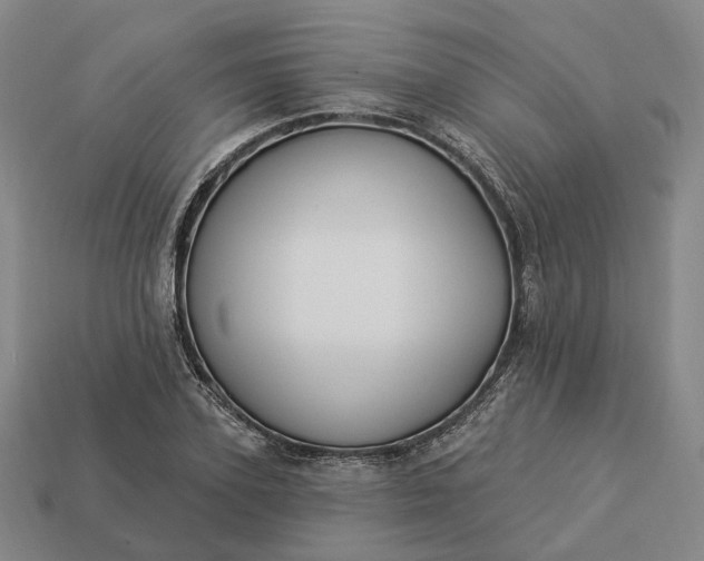 X0000112940931200909071051