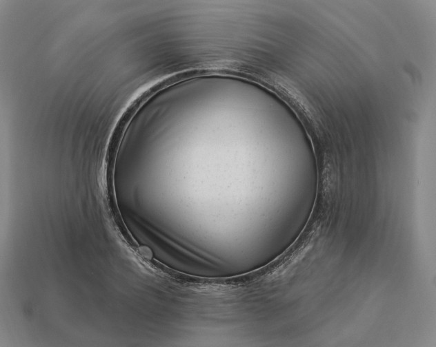 X0000112940932200909071051