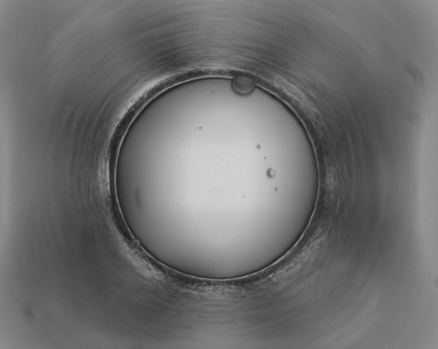 X0000112940934200909071051