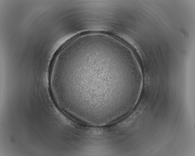 X0000112940935200909071051