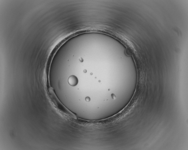 X0000112940936200909071051