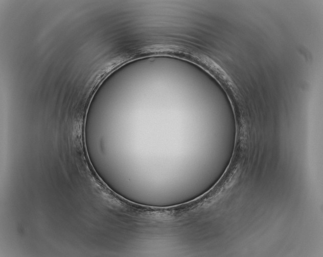 X0000112940937200909071051