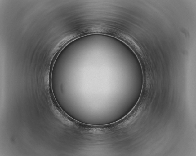 X0000112940938200909071051