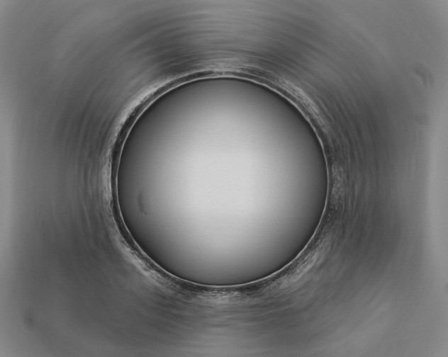 X0000112940939200909071051