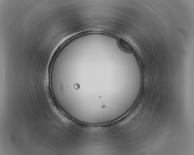 X0000112940940200909071051