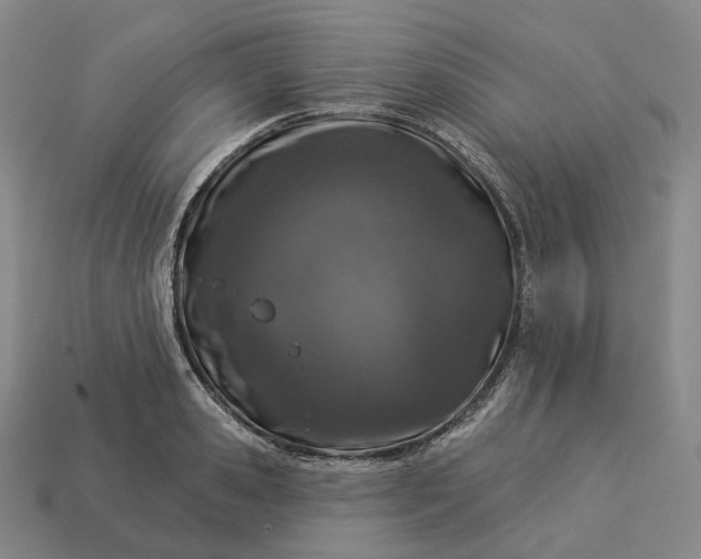 X0000112940941200909071051