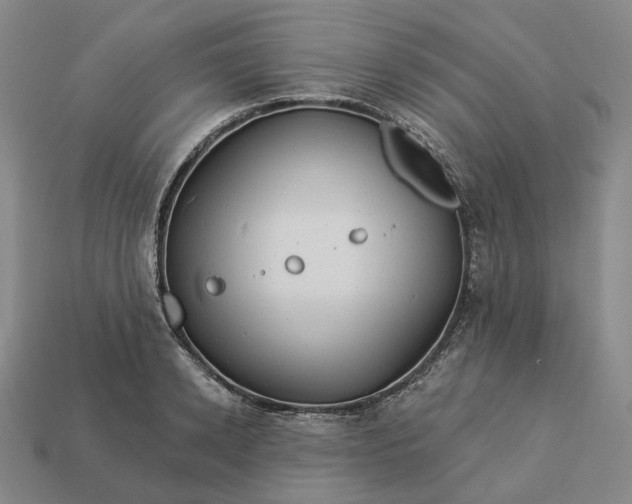 X0000112940942200909071051