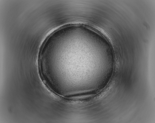 X0000112940943200909071051