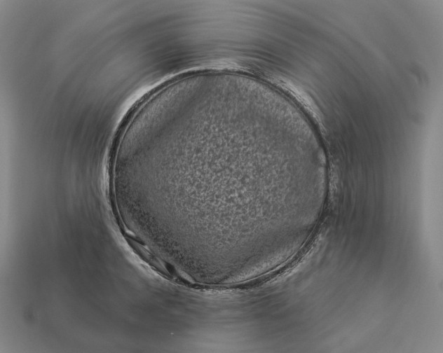 X0000112940944200909071051