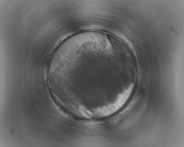 X0000112940945200909071051