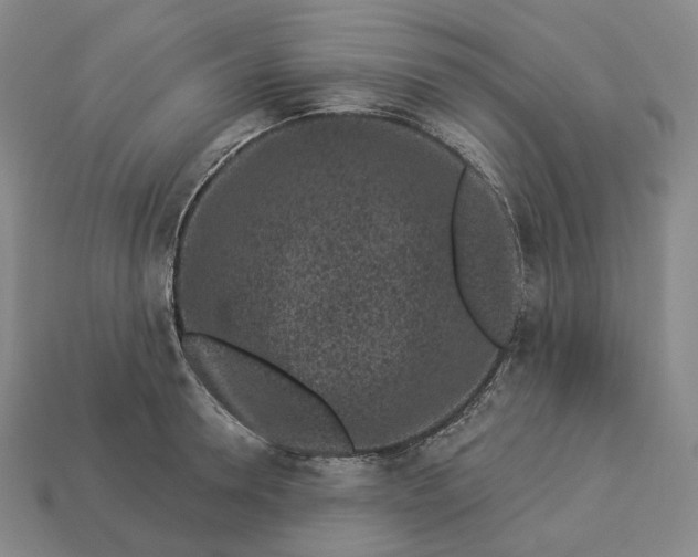 X0000112940946200909071051