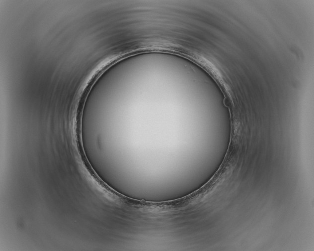 X0000112940947200909071051