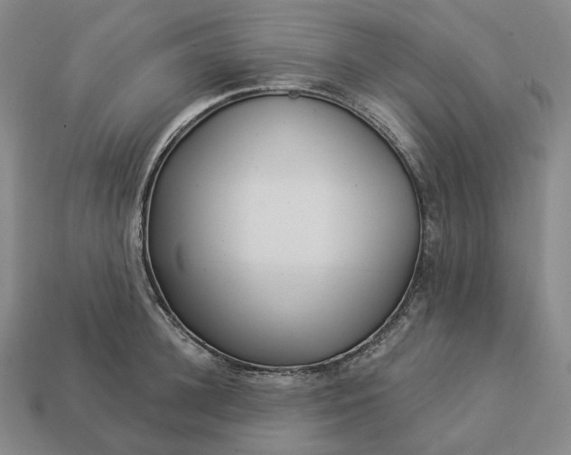 X0000112940948200909071052