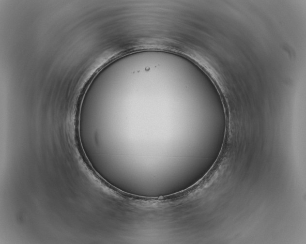 X0000112940949200909071052