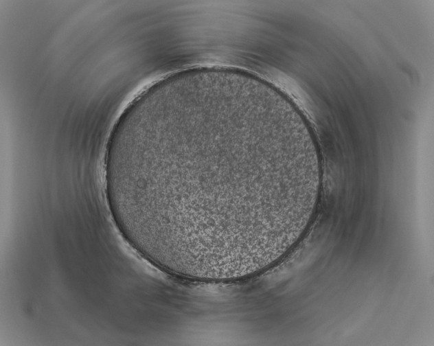 X0000112940950200909071052