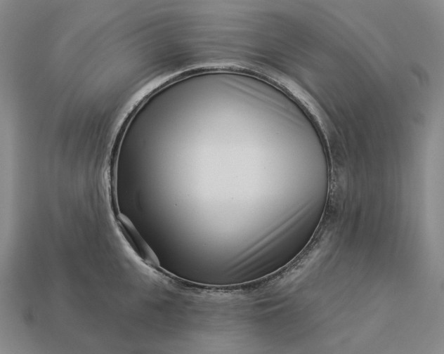 X0000112940951200909071052