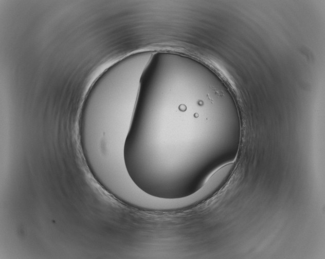 X0000112940952200909071052