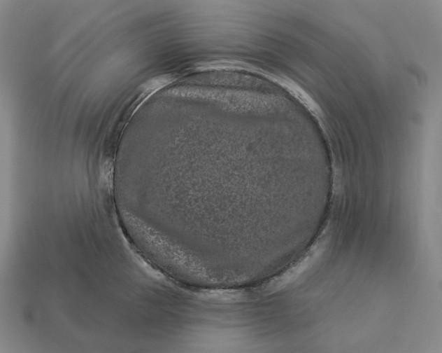 X0000112940953200909071052