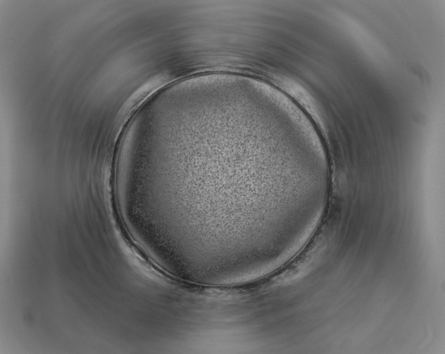 X0000112940954200909071052