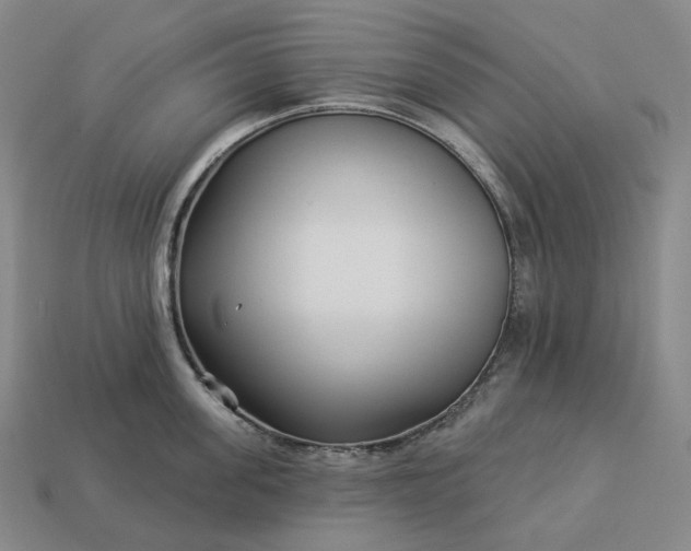 X0000112940955200909071052