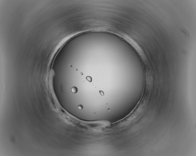 X0000112940956200909071052