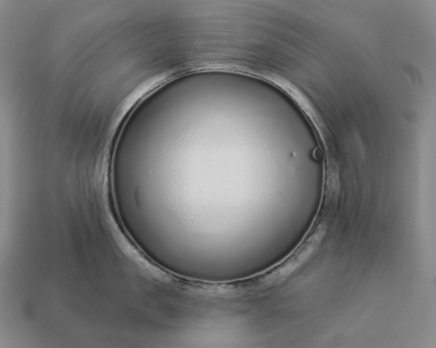 X0000112940957200909071052