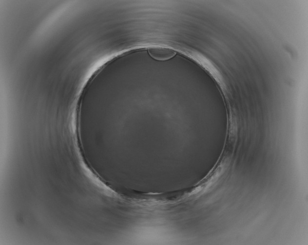 X0000112940958200909071052