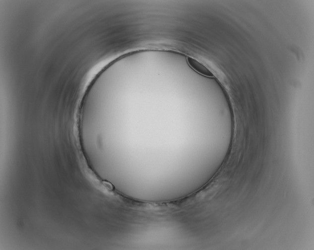 X0000112940960200909071052