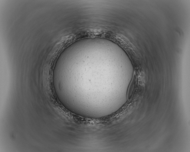 X0000112940961200909071051