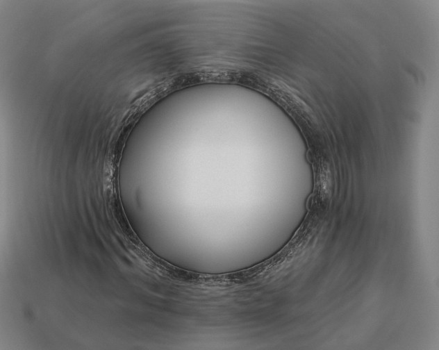 X0000112940964200909071051