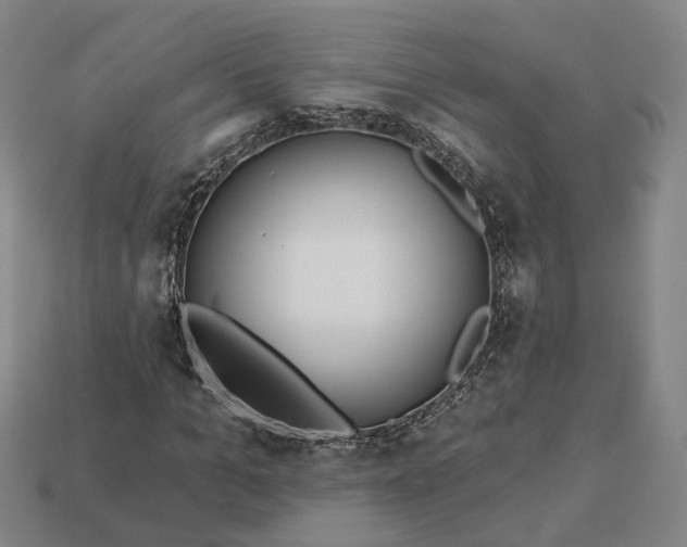 X0000112940965200909071051