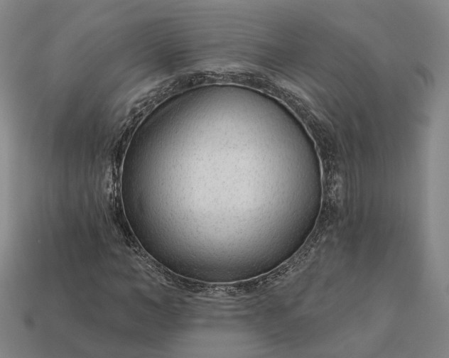 X0000112940966200909071051