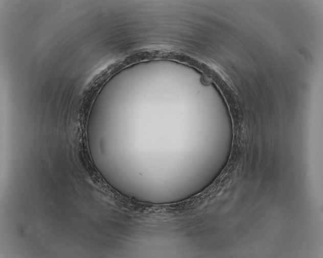 X0000112940967200909071051