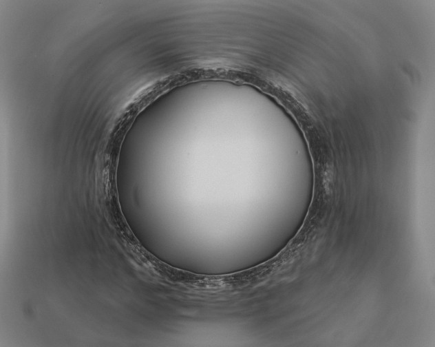 X0000112940968200909071051