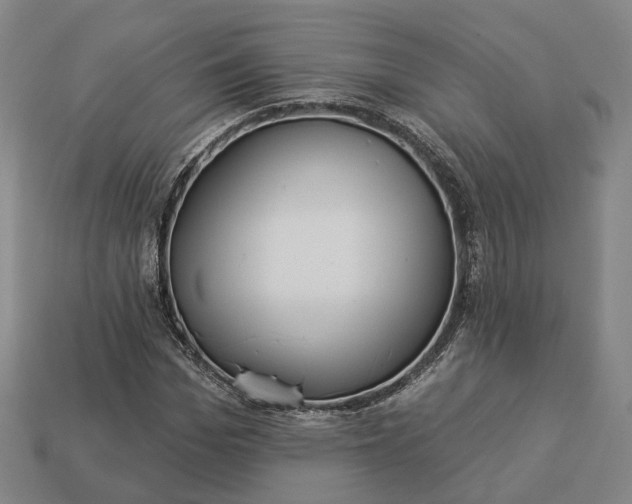 X0000112940969200909071051