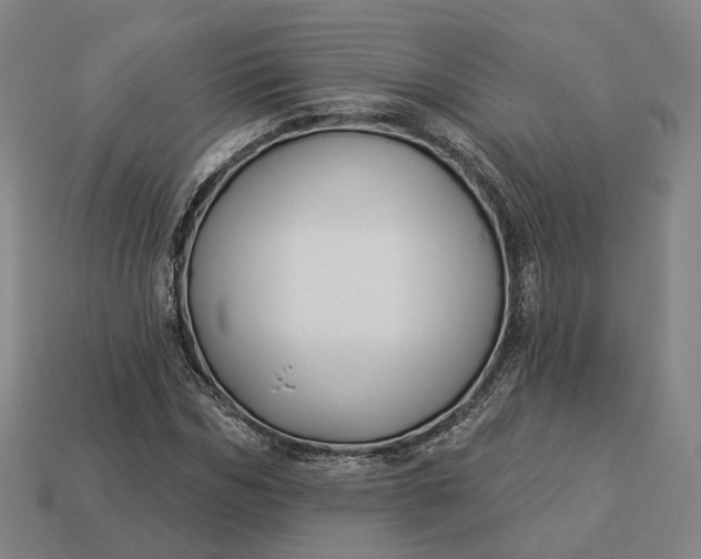 X0000112940970200909071051