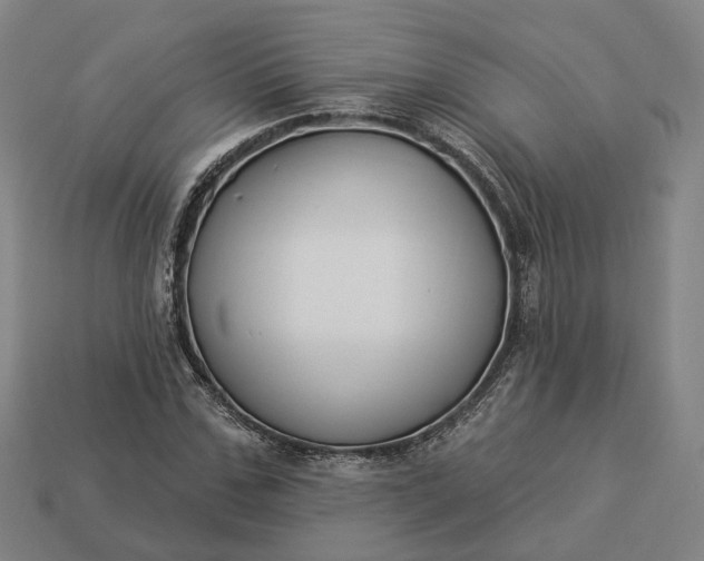 X0000112940971200909071051