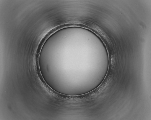 X0000112940972200909071051