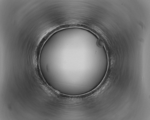 X0000112940973200909071051