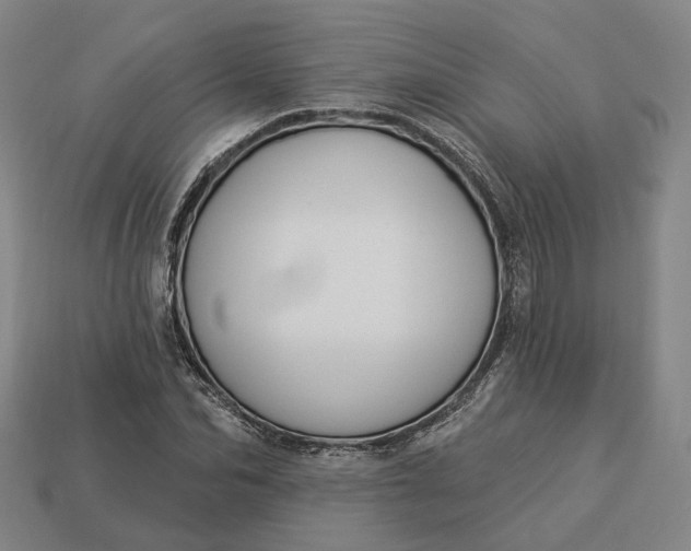 X0000112940974200909071051