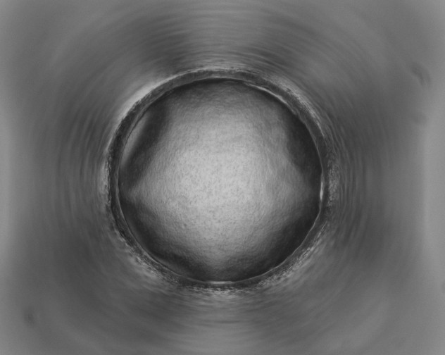 X0000112940975200909071051