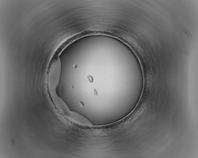 X0000112940976200909071051