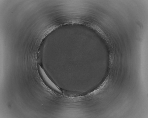 X0000112940977200909071051